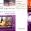 "Smoke Alarms: First Defense Against Fire" Pamphlet (1)